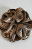 Light Leopard