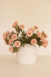 Dahlias - Pink | Swank Boutique