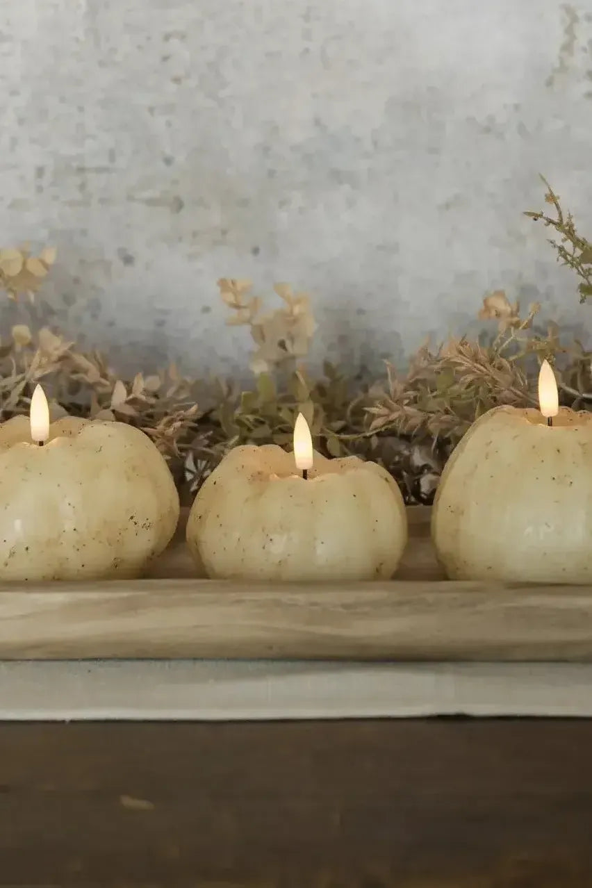 Short Pumpkin Candle - Cream | Swank Boutique