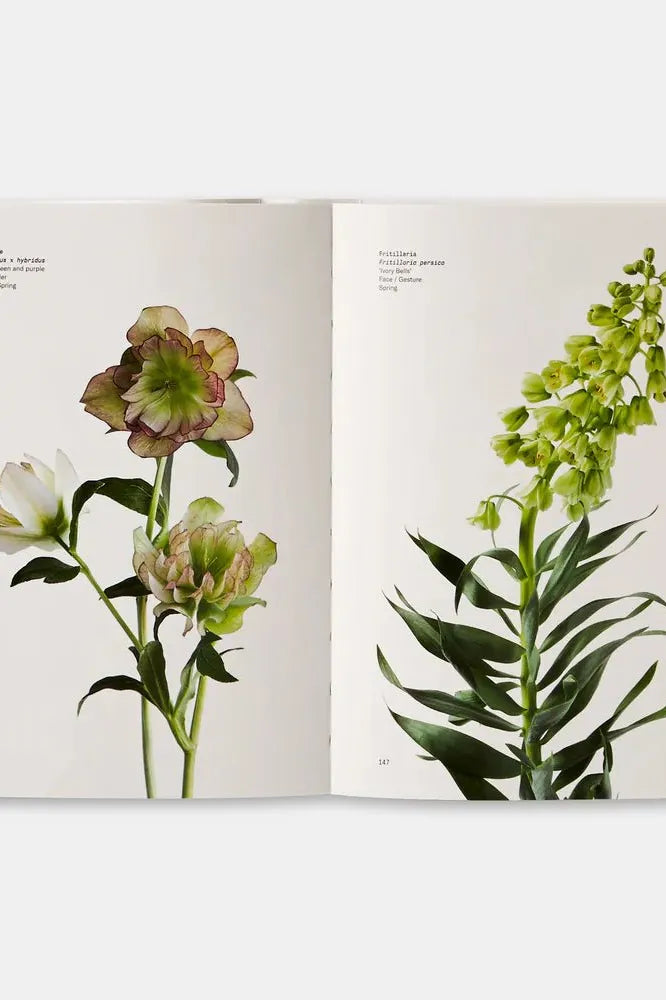 Flower Color Guide Book | Swank Boutique