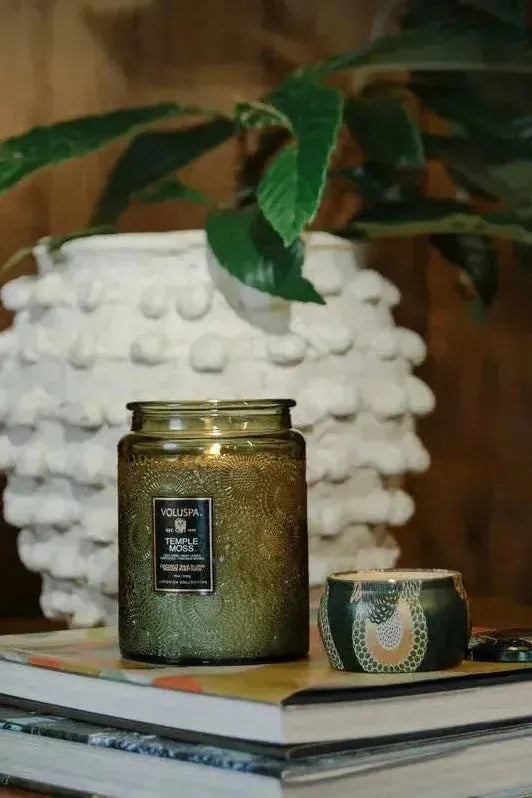 Temple Moss - Mini Tin Candle | Swank Boutique