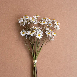 Chamomile Flower Bundle | Swank Boutique