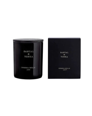 Santal & Tonka - 8 oz Candle