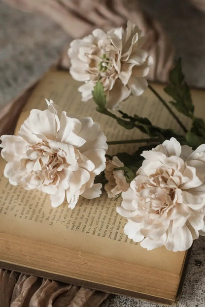 Autumn Scabiosa Spray - Cream | Swank Boutique