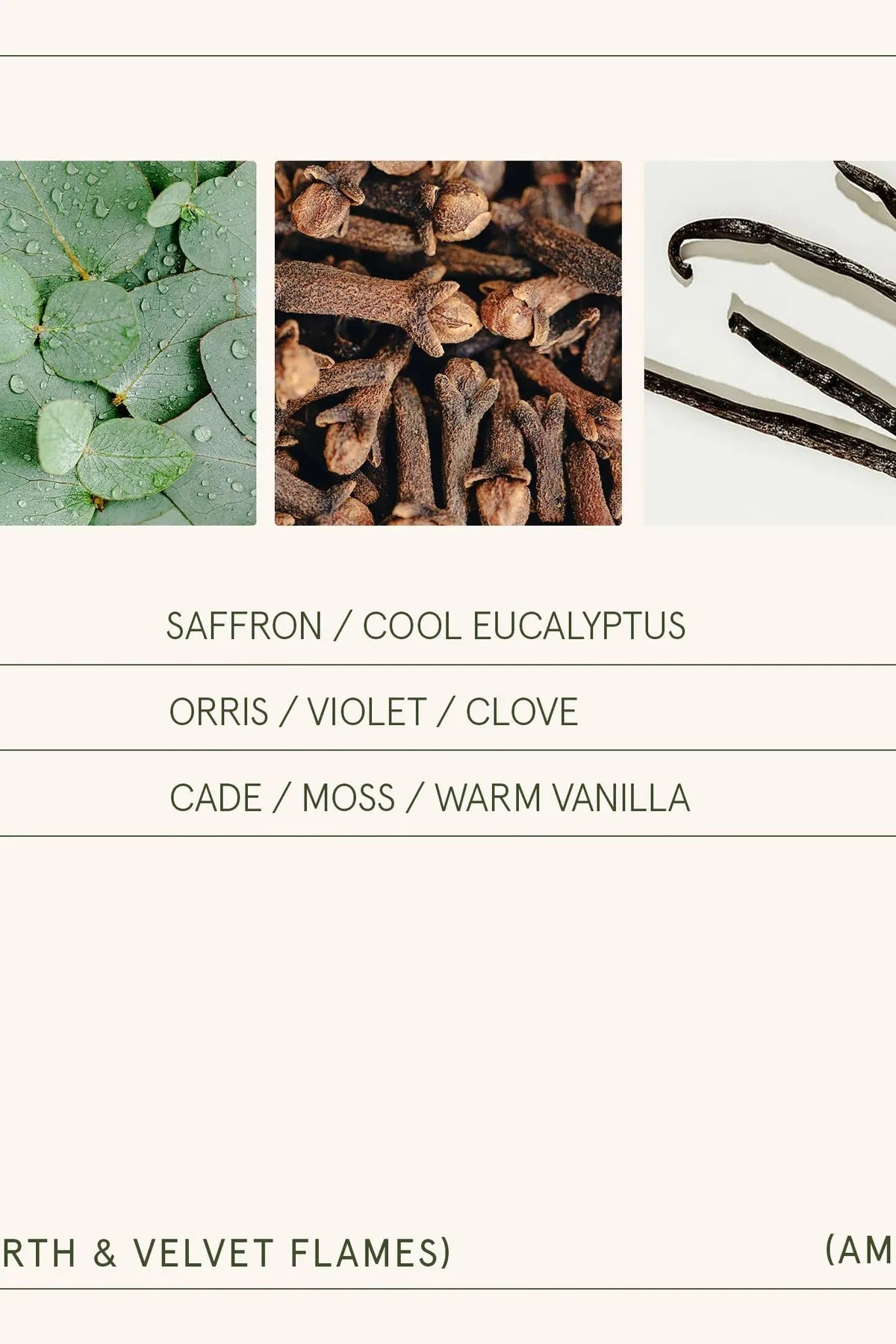 Amelie Candle - Hearth & Velvet 11 oz (Copy) | Swank Boutique