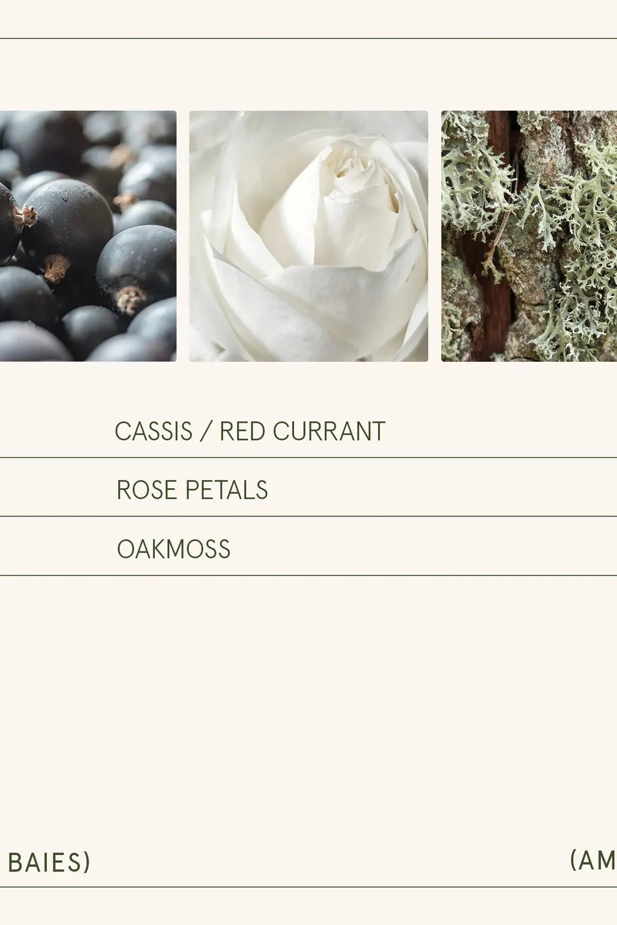 Amelie Candle - Santal Rose (Copy) | Swank Boutique