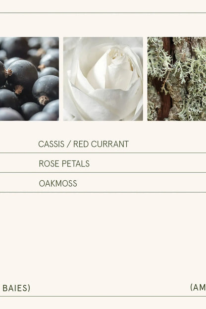 Amelie Candle - Santal Rose (Copy) | Swank Boutique