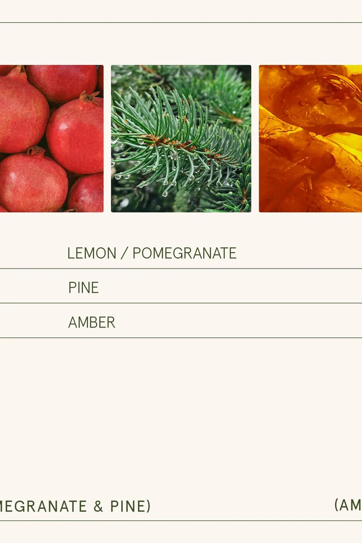 Amelie Candle - Pomegranate & Pine | Swank Boutique