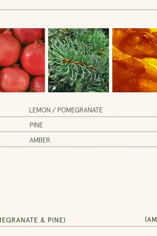 Amelie Candle - Pomegranate & Pine | Swank Boutique