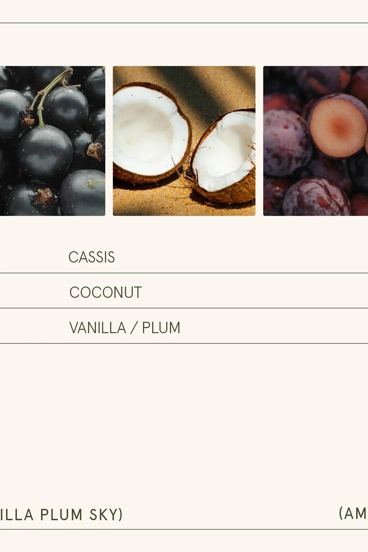 Amelie Candle - Vanilla Plum Sky 11 oz (Copy) | Swank Boutique