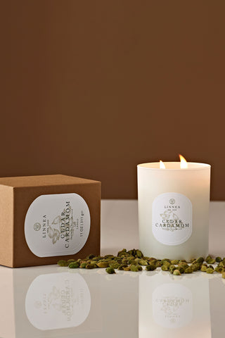 Cedar Cardamom Candle - Petite | Swank Boutique