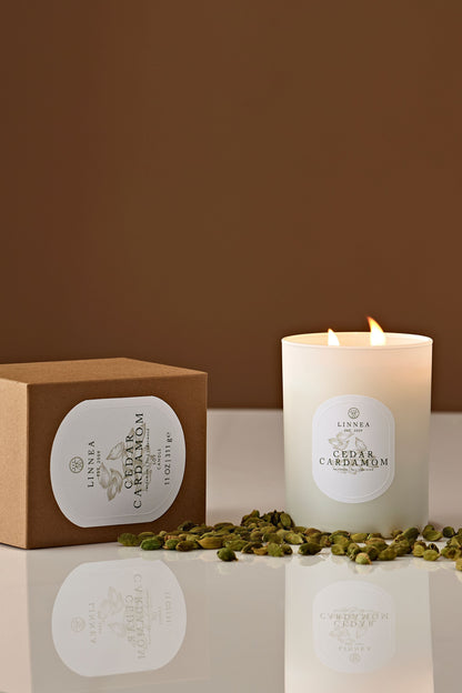 Cedar Cardamom Candle - Petite