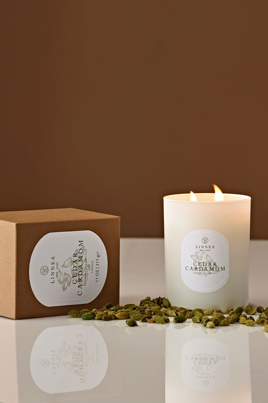 Cedar Cardamom Candle - Large