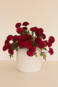 Dahlias - Red | Swank Boutique