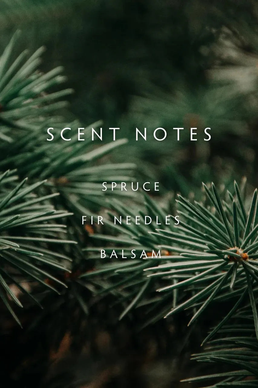 Forest Fir Large Candle (Copy) | Swank Boutique