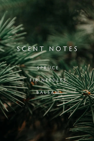 Forest Fir Large Candle (Copy) | Swank Boutique