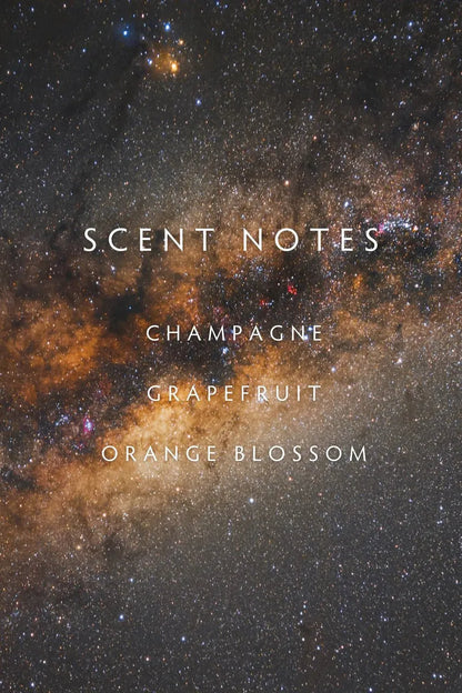 Pinewood Large Candle (Copy) | Swank Boutique