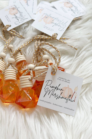 Pumpkin Marshmallow Car Diffuser