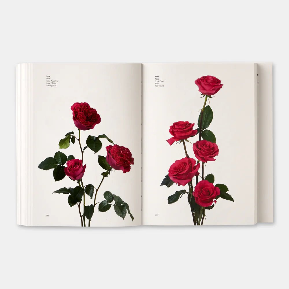 Flower Color Guide Book | Swank Boutique