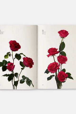 Flower Color Guide Book | Swank Boutique