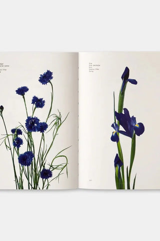 Flower Color Guide Book | Swank Boutique