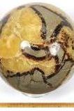 Septarian | Swank Boutique