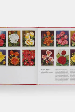 The Rose Book | Swank Boutique