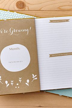 Expecting You - A Keepsake Pregnancy Journal Book