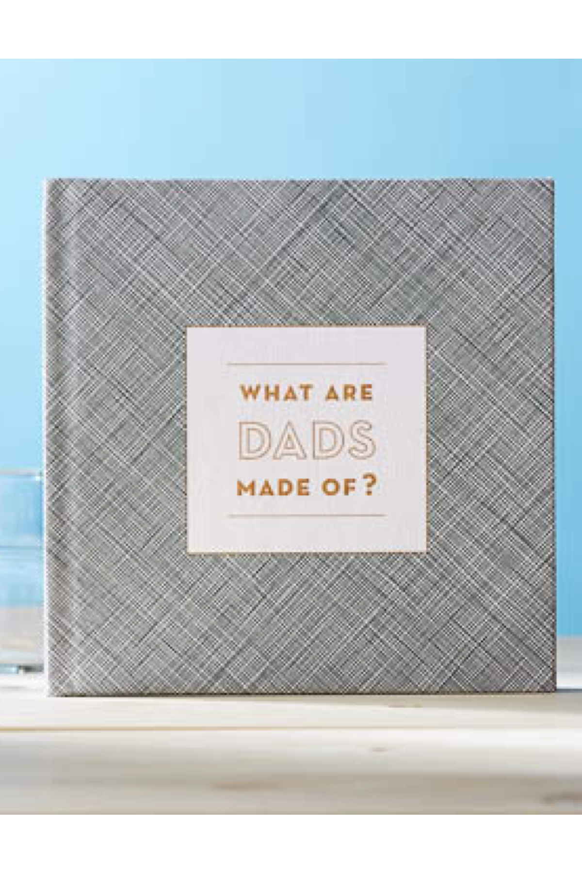 What are Dads Made Of Book